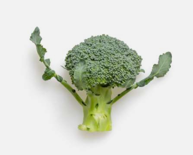 5 façons saines de cuisiner le brocoli